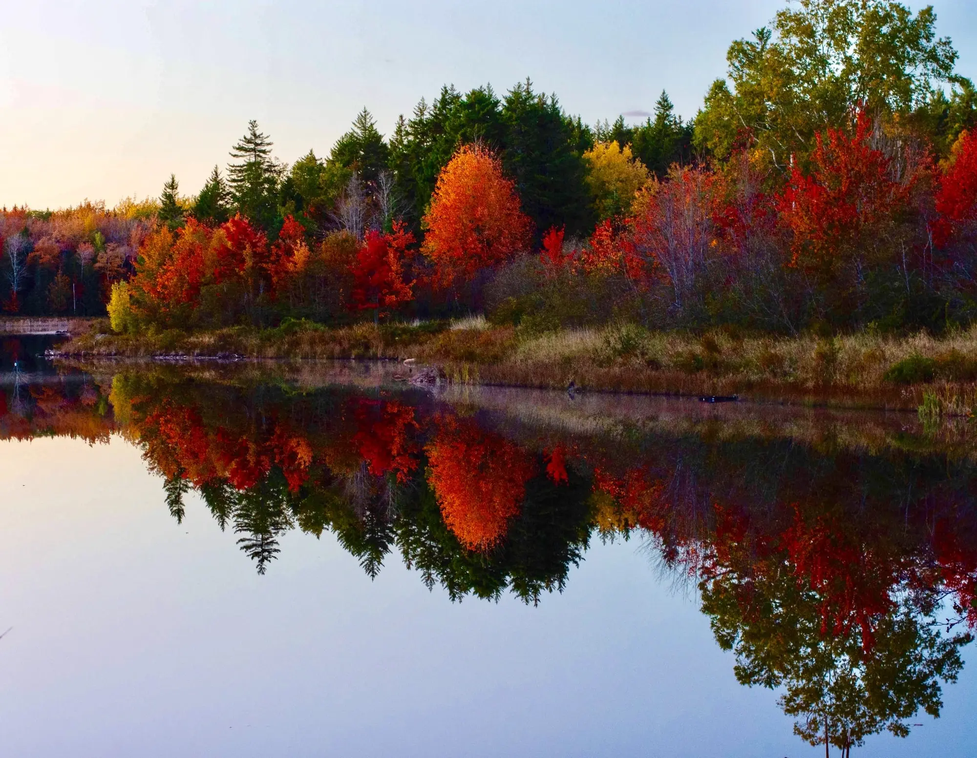 Autumn trees reflected in still water