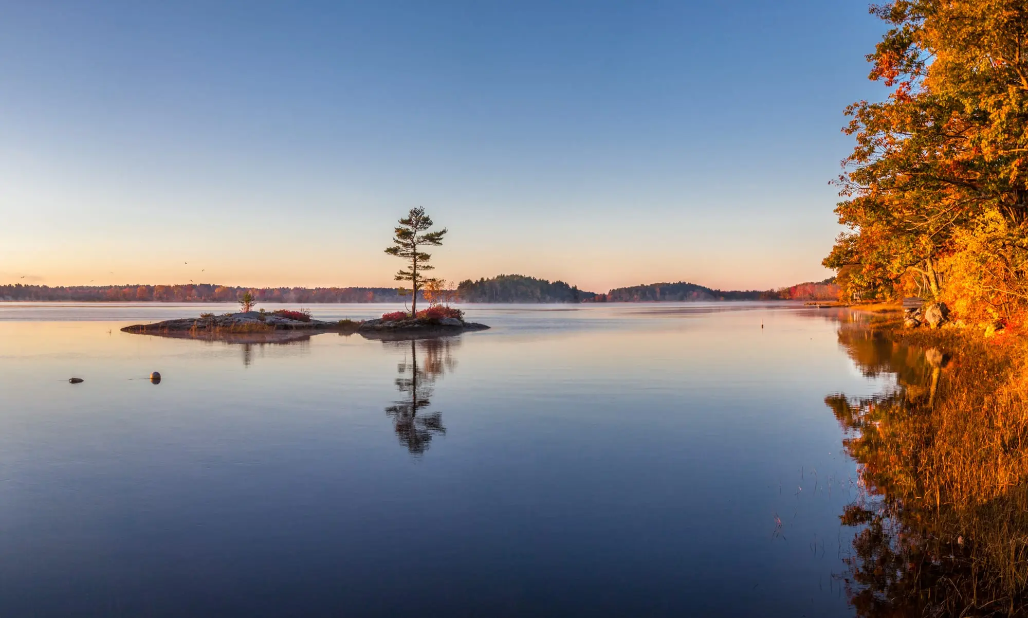 Still lake at dawn with autumn trees on the far shore